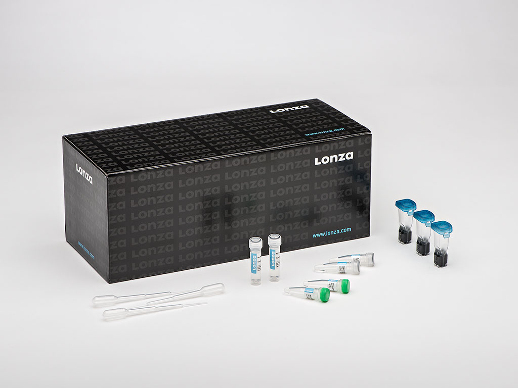 SE Cell Line 4D X Kit L (12 RCT)