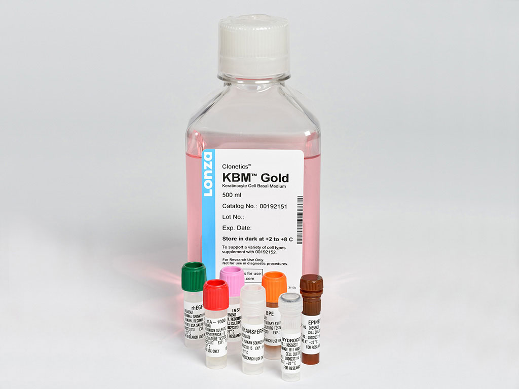 Adult Keratinocyte Cell Culture Kit