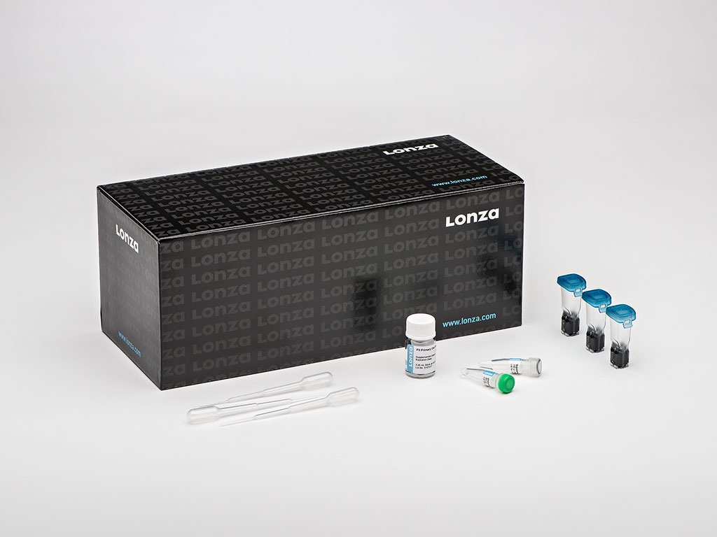 SG Cell Line 4D X Kit L (12 RCT)