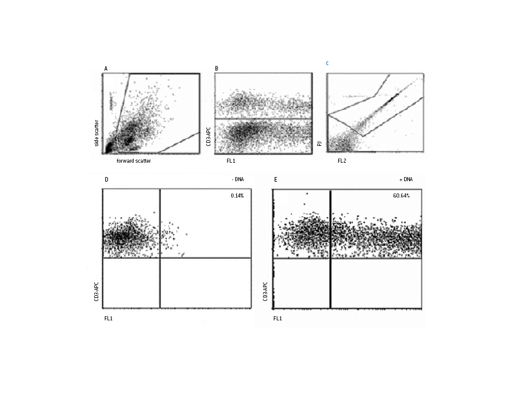 Human T Cell Nucleofector® Kit