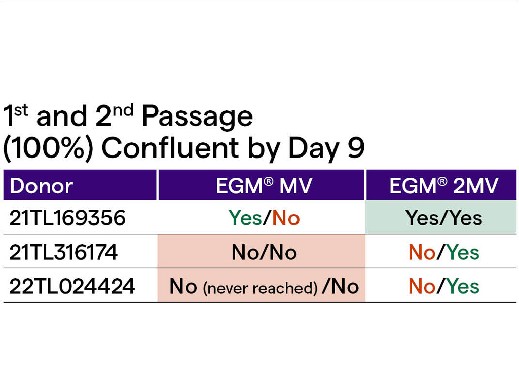 EGM-2 MV BulletKit (CC-3156 & CC-4147)