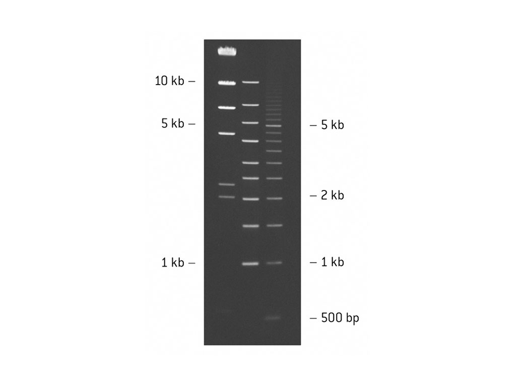 SeaKem LE AGAROSE 125G