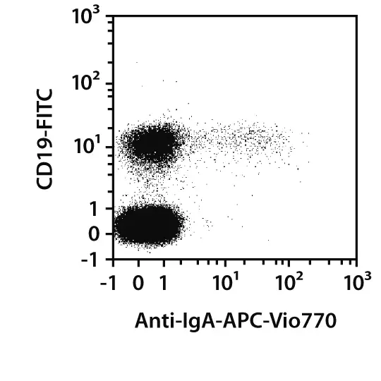 Anti-IgA-PE, human, REA1014, 100 tests