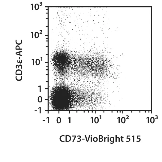 CD73-PE-Vio770, mouse, REA778, 100 tests