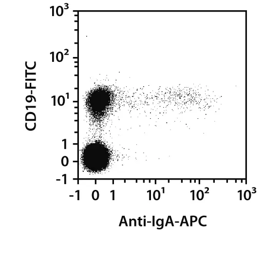 Anti-IgA-PE, human, REA1014, 100 tests