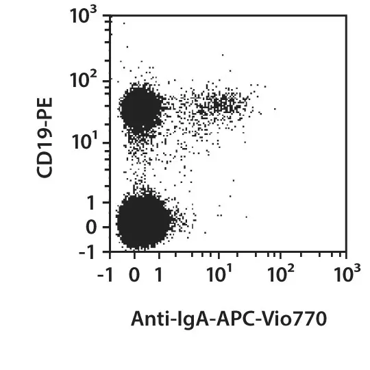 Anti-IgA-VioBlue,human, IS11-8E10, 100 t