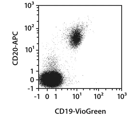 CD19-FITC, human, REA675, 100 tests