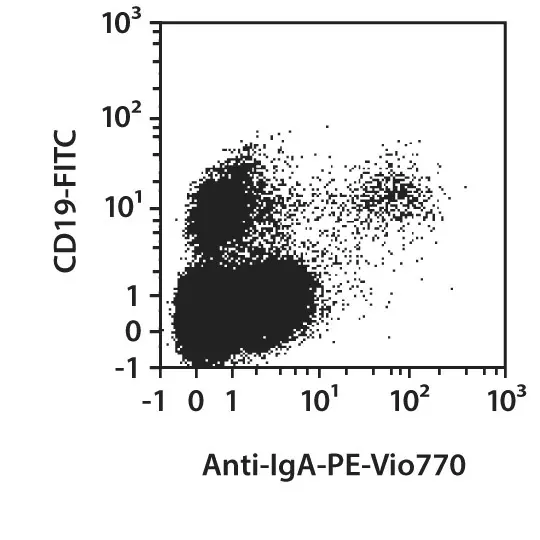 Anti-IgA-VioBlue,human, IS11-8E10, 100 t