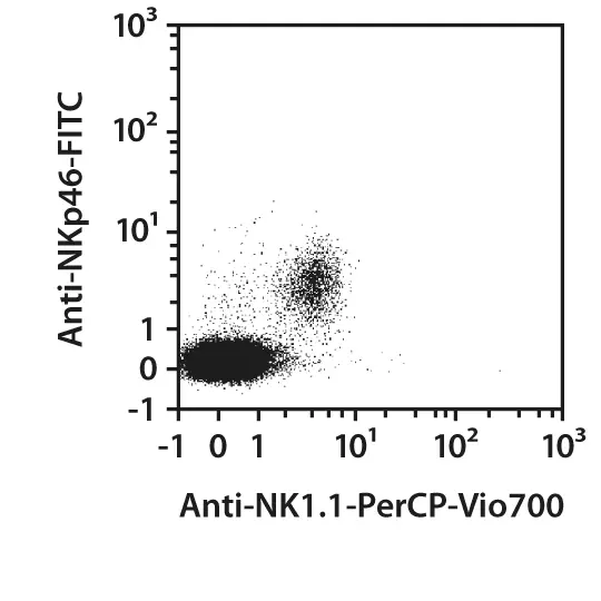 aNK1.1-PerCP-Vio770, mouse, REA1162, 100