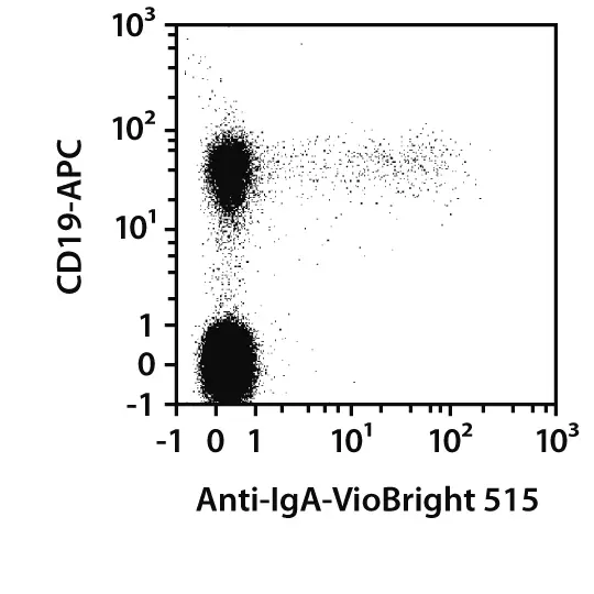 Anti-IgA-PE, human, REA1014, 100 tests