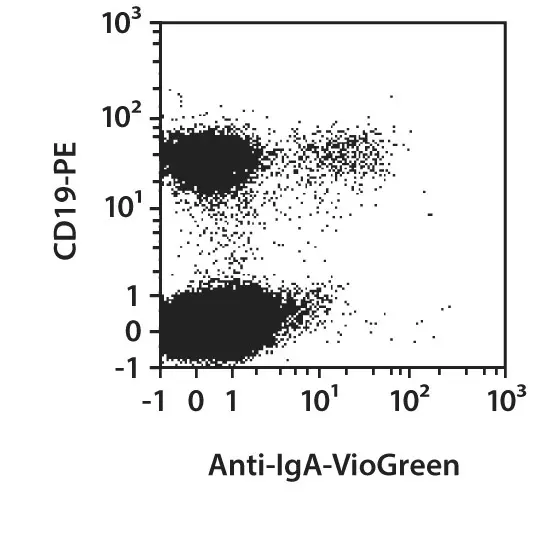 Anti-IgA-VioBlue,human, IS11-8E10, 100 t