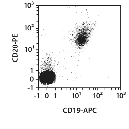 CD19-FITC, human, REA675, 100 tests