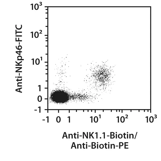 aNK1.1-PerCP-Vio770, mouse, REA1162, 100
