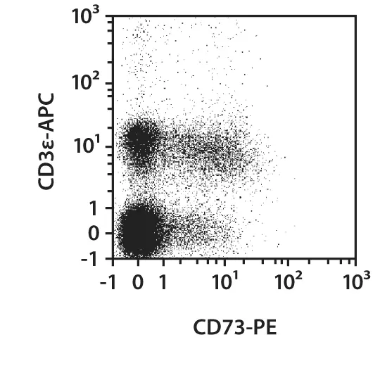 CD73-PE-Vio770, mouse, REA778, 100 tests