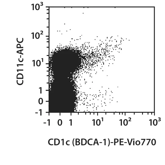 CD1c (BDCA-1) pure, human