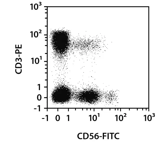 CD56 Antibody, anti-human, Vio® Bright V423, REAfinity™