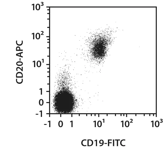 CD19-FITC, human, REA675, 100 tests