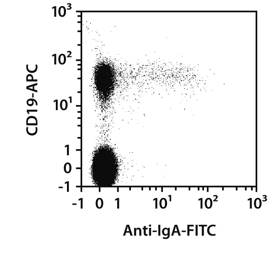 Anti-IgA-PE, human, REA1014, 100 tests