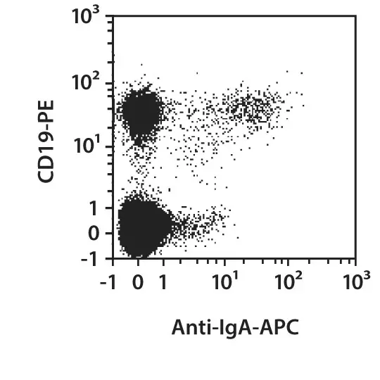 Anti-IgA-VioBlue,human, IS11-8E10, 100 t