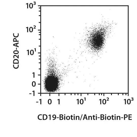 CD19-FITC, human, REA675, 100 tests