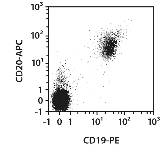 CD19-FITC, human, REA675, 100 tests