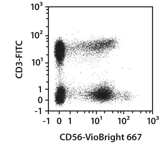 CD56 Antibody, anti-human, Vio® Bright V423, REAfinity™