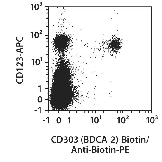 CD303 (BDCA-2) pure, human