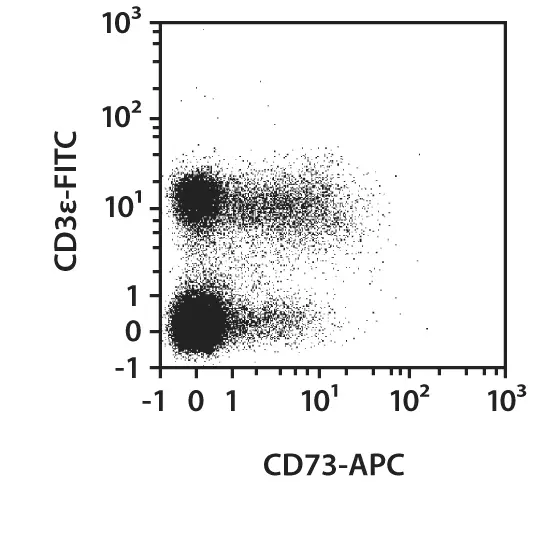 CD73-PE-Vio770, mouse, REA778, 100 tests