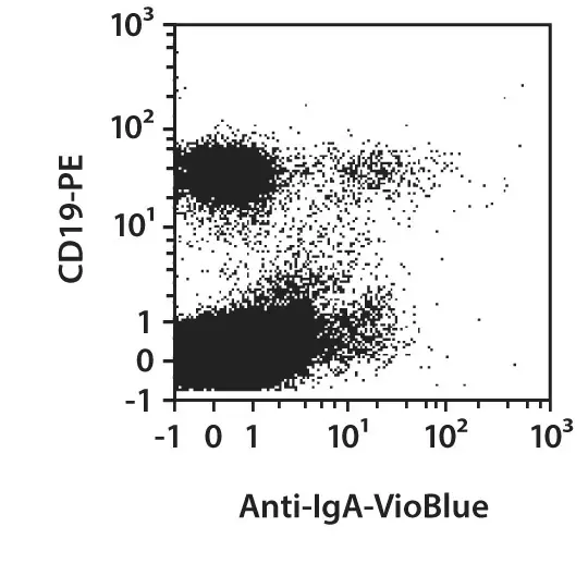 Anti-IgA-VioBlue,human, IS11-8E10, 100 t