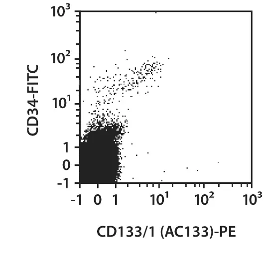 CD133/1 (AC133) pure, human