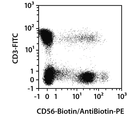 CD56-FITC, human, REA196, 100 tests