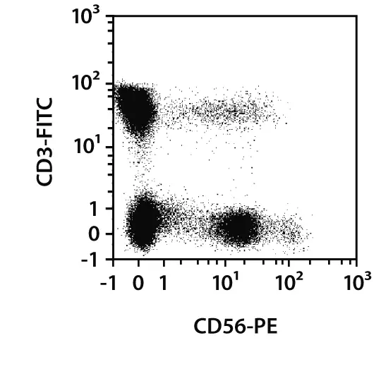 CD56-FITC, human, REA196, 100 tests