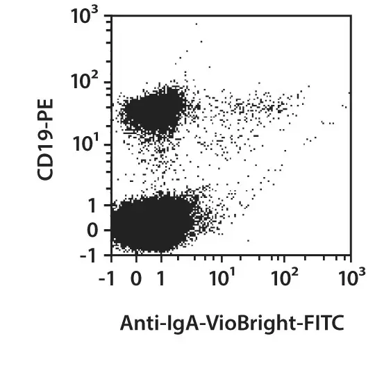 Anti-IgA-VioBlue,human, IS11-8E10, 100 t