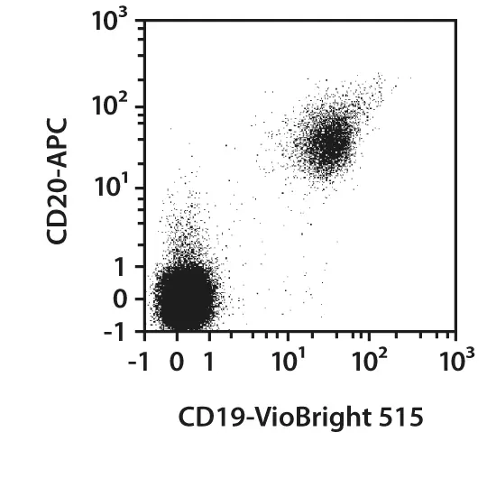 CD19-FITC, human, REA675, 100 tests