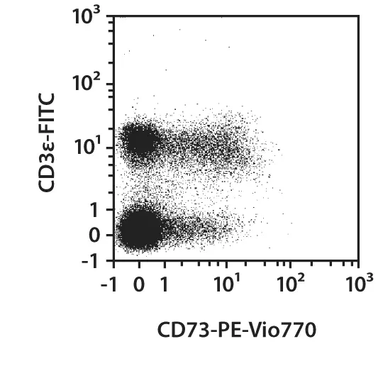 CD73-PE-Vio770, mouse, REA778, 100 tests