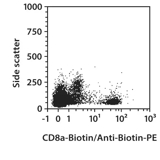 CD8a-PE, mouse 60 tests