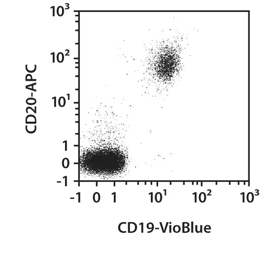 CD19-FITC, human, REA675, 100 tests