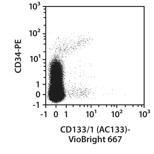 CD133/1 (AC133) pure, human