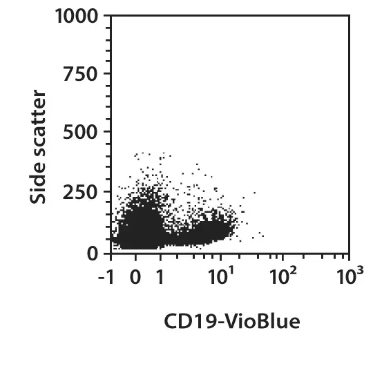 CD19-APC, mouse