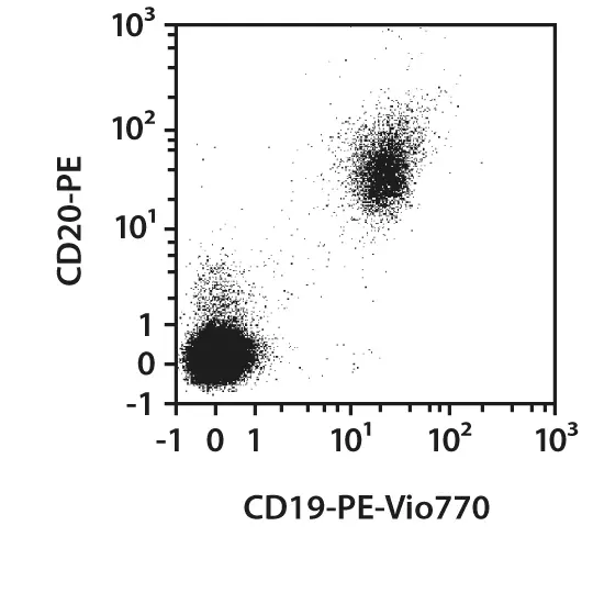 CD19-FITC, human, REA675, 100 tests