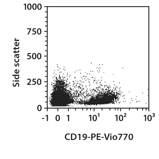 CD19-APC, mouse