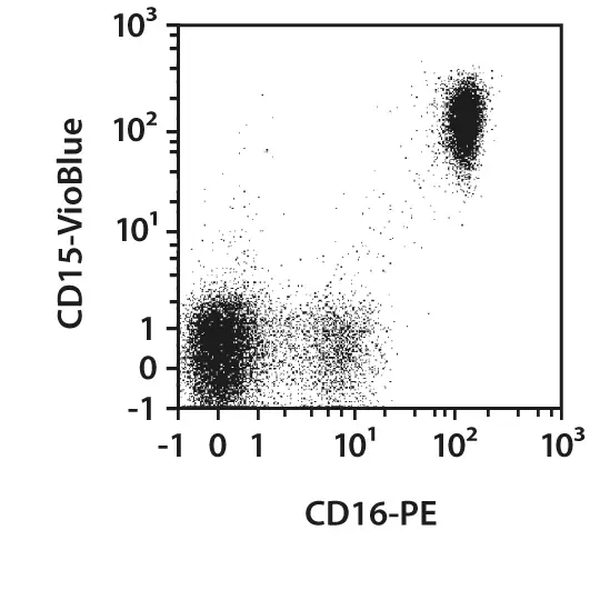 CD16-PE, human, REA423, 100 tests