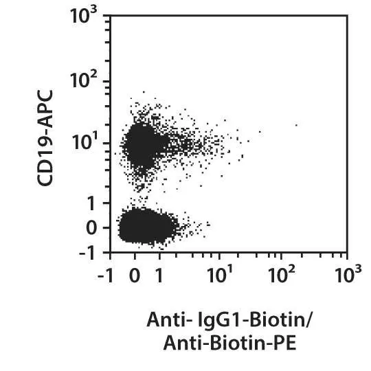 aIgG1-PE, human, IS11-12E4.23.20, 100 t