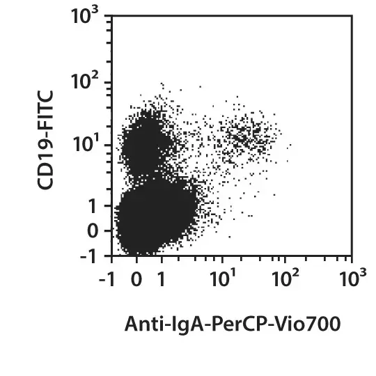 Anti-IgA-VioBlue,human, IS11-8E10, 100 t