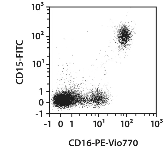 CD16-PE, human, REA423, 100 tests