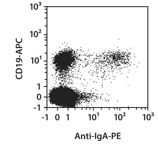 Anti-IgA-VioBlue,human, IS11-8E10, 100 t