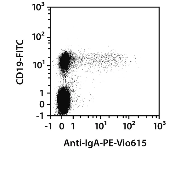 Anti-IgA-PE, human, REA1014, 100 tests