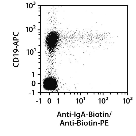 Anti-IgA-PE, human, REA1014, 100 tests