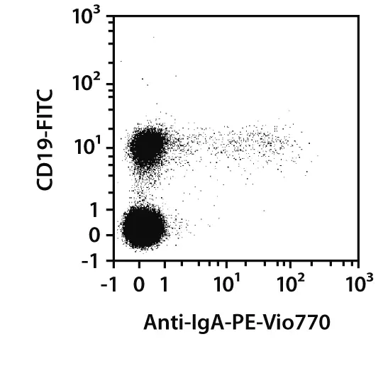 Anti-IgA-PE, human, REA1014, 100 tests