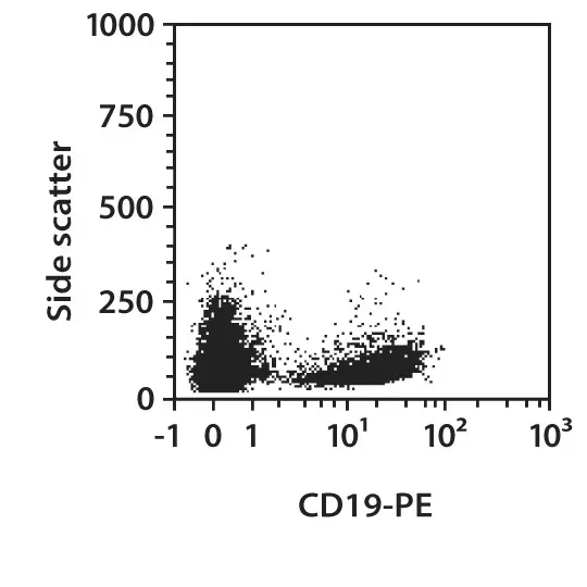 CD19-APC, mouse